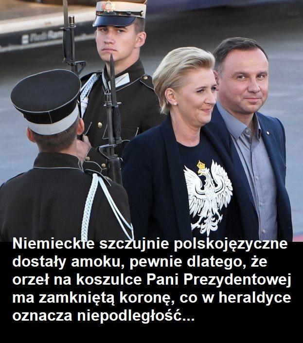 36436179_221108815372731_361730945198116