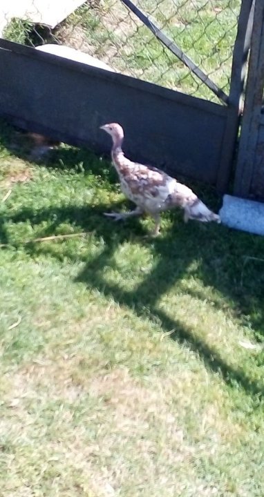 117445138_331483224904850_4267912719534271175_n.jpg?_nc_cat=108&_nc_sid=ae9488&_nc_ohc=jYYj8LN9KQ8AX9_yisk&_nc_ht=z-p3-scontent.fwaw8-1.fna&oh=bbff537af4518f82d903b734d66cceed&oe=5F5C7026