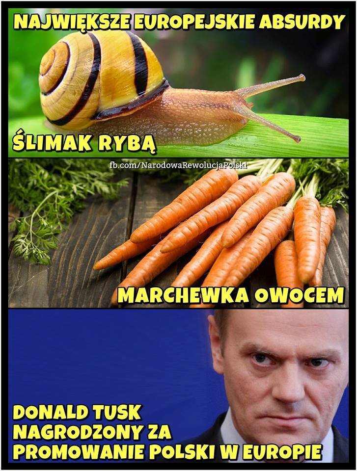 35893253_1830548273920926_85516292561557