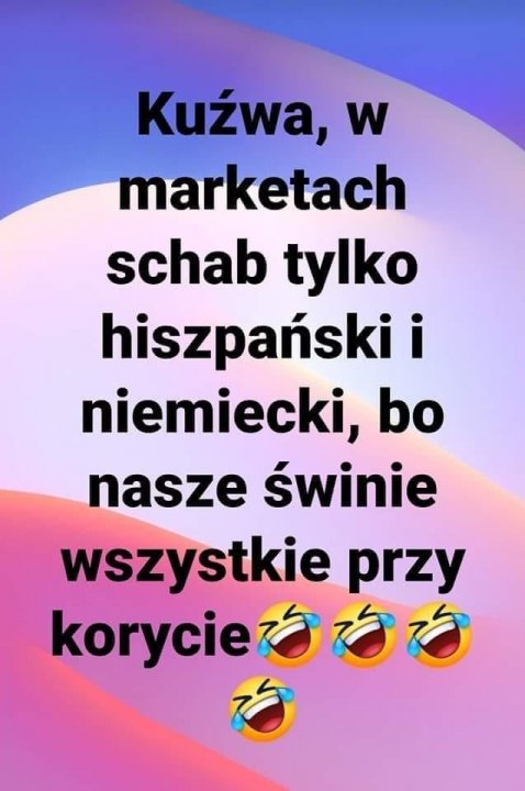 Może być zdjęciem przedstawiającym co najmniej jedna osoba i tekst „Kuźwa, w marketach schab tylko hiszpański i niemiecki, bo nasze świnie wszystkie przy korycie0000 korycie”