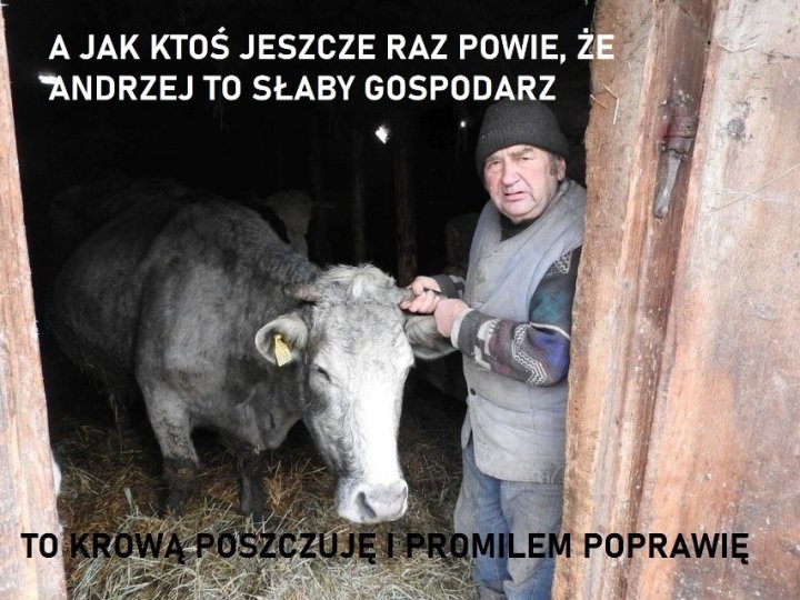 Program Rolnicy.Podlasie nie traci na popularności. Widzowie...