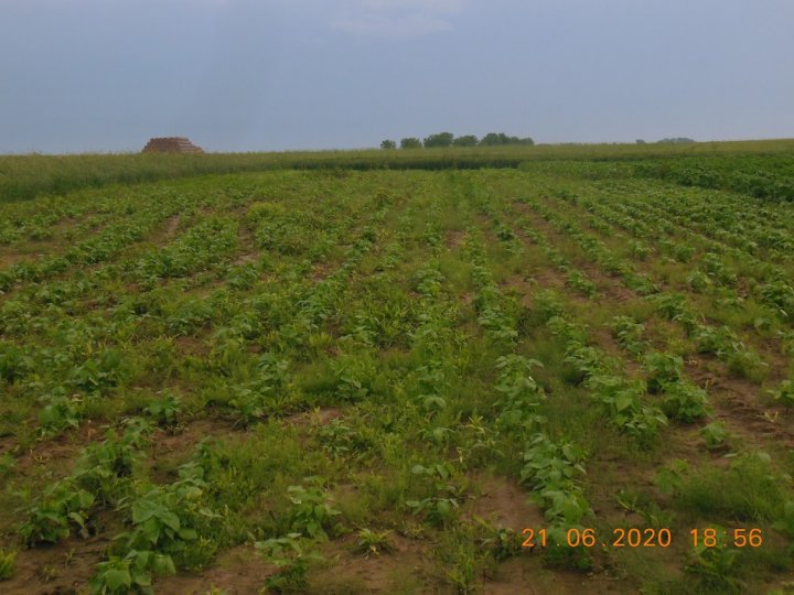 AM-JKLV0jR7yU1I8Vgp2qpK_6dNlchMFrW_hruIm