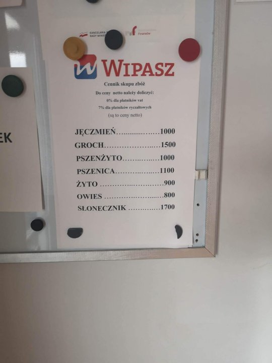 325864774_591182099506053_17820716317309