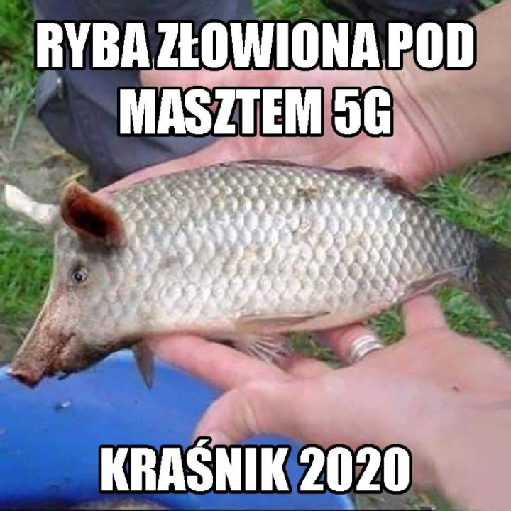 Tak internauci śmieją się z naszego województwa. Lublin, Kraśnik, Świdnik i inne. Zobacz MEMY