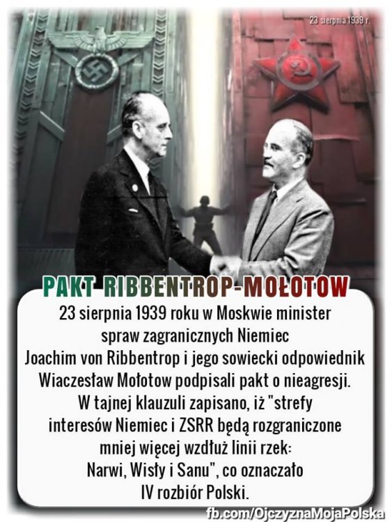 39913628_2106414776287042_41696905861036