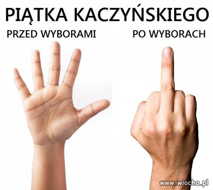 ee5f611136075cbcca7a1d92fb74bafc.jpg?s=1571174660