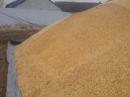 AwJsklOB_mvnbcb0iSne7ah4B9XafS8U7nFz0hzE