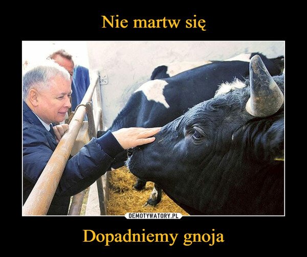 655-nie-martw-sie-dopadniemy-gnoja.jpg