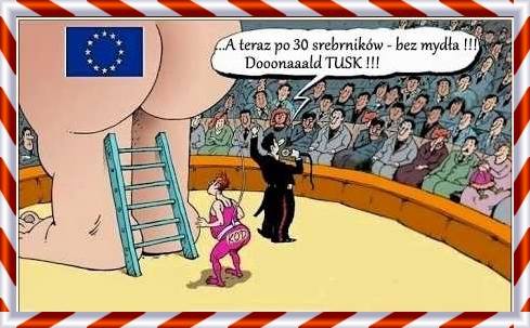 31945256_233280793916708_868338065931553