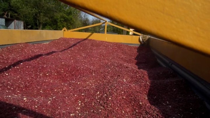 ADCreHdycwKN9KmPcqKPcqN9oCVTVhM-6H3P9XZJ