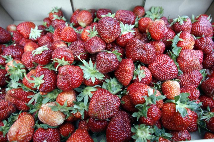 Wykrycie obecności wirusa wywołującego wirusowe zapalenie...