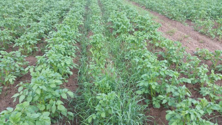 AJFCJaX-5iWfyT4ZPCGunfI4NTaLoYdnQMS5G-sV