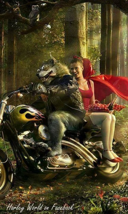 65646669_1353298698150719_33976473954864