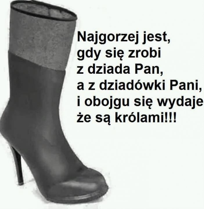 255667856_4662830210447955_1818645357189