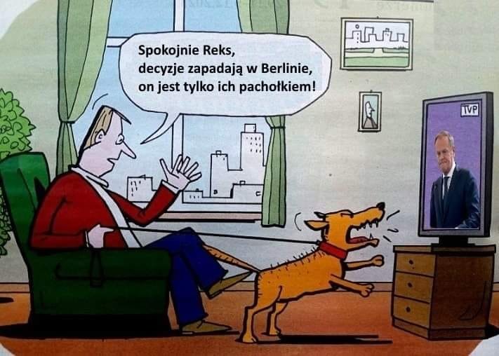 Może być zdjęciem przedstawiającym ‎1 osoba i ‎tekst „‎Spokojnie Reks, decyzje zapadają w Berlinie, n jest tylko ich pachołkiem! لمل_ا IVP‎”‎‎