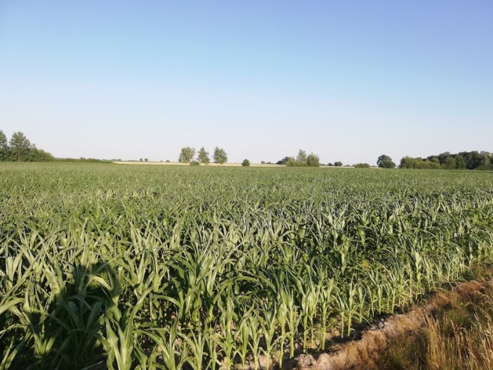 Kya3ph_7WoQU6GbclSFPh32OoOOhVby23rxtq5mu