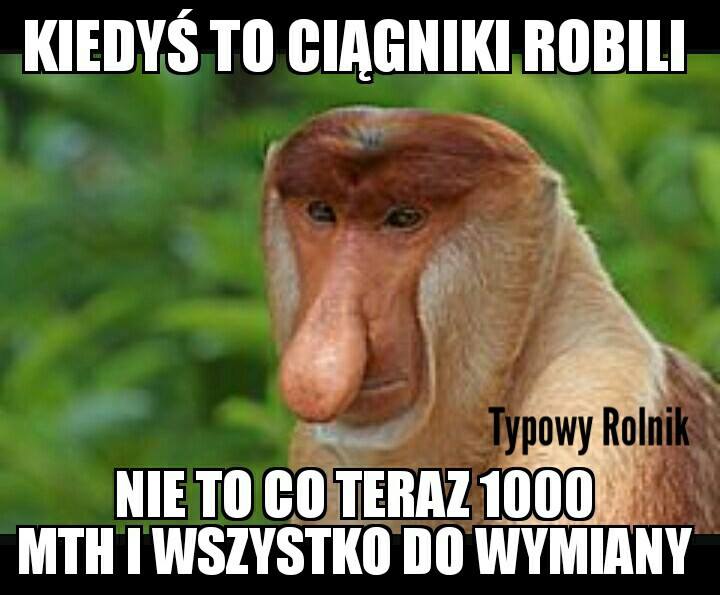 Zdjęcie użytkownika Typowy Rolnik.
