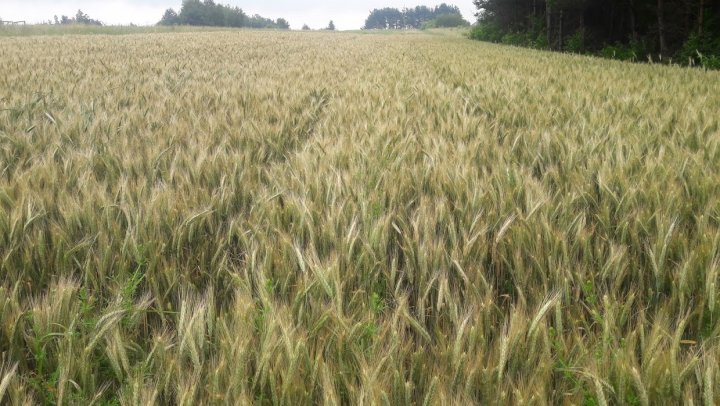 ZM6eug8rdBraEzUyw58NW5qX_Mus0x-0O2wpkQSLXUOySAtwebbNmFHL7iAskizLOFvBiwn-MmN0P3tJtBTsFC7f2nUAw_tK6ITO0UT0t35UmOXIkRLEs0g8tXNvlCZ1E5UGrhgx5MwwwssZjoQOVIPkRcQ9qOMjDJhUaFZuOjZt_y7Elsv74Gm1Z0ZkWvHXaW3BOhuQ32Fq5mwGIMnuJ2pZ6bRiOHW5ACFddNx8ZJ1-_CiExfexquhdpSNXQMXrjAENUblvQXLWGBgIkmF9mesjXNgGmQ9T_Un2F5FDsKIyVpX5PJ9EMKoSFxWoqEh7Z7SV2dy-0R9s-TfpojpgVirYTWq13PLef60lRo2ZPknY_CmYZqDQ3blOKXa1S3vX9U4hoaApCgLE3Z_iuTutNStGqJX1BDUrk4RiBHuLbhcdXiDIc99aMlwKPgTLF4W_2Us7PFqXYprYuDGd8qBpx2vXzp5wh_frBoGzhIdQstgH6yqNW3xDTngHj_0yBNvuf9ZDRoUYh_HwKMenTJuGSxX6orAah2eu55ocHHkWBTMVGWdV-x3Zb3Z6SRmLEkl-7lObLzBDRESuD34ljIH8BluxgVcgX-3m8yM0_9_XunMcXUyKAtlKHbvtC9Q9fvbcNalBXUdLRX366GDxb-rvb0k7RCI2MyhH-Js0uTaljTOGh-z3q8eZTYP8s2FLTA=w1240-h698-no?authuser=0