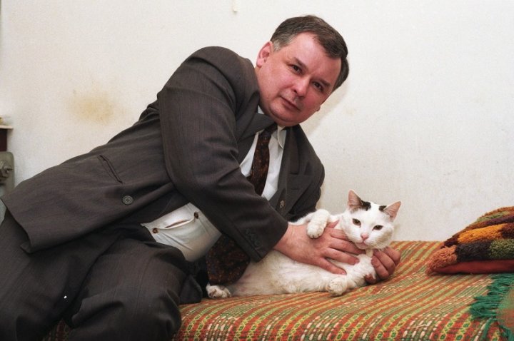 95265857_1409850915856300_91223651993056