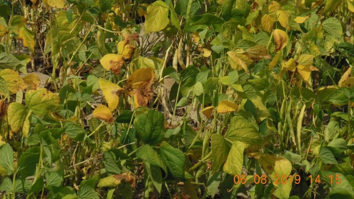 ACtC-3eUSyGDPA_FJHkOCbta1guQ7KH193GVLBAH