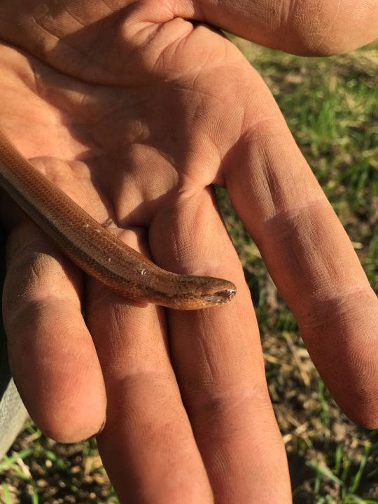 AIL4fc-hnAV2ZZJrpa2GggEHSPg2QHq6-KSWRpxKE2Af22QZVctK8brJdxx2dGUfbEus0nlyoKFdA3bF1r-48A9gZZ_Q8_U5rkrJ1mmn_Cg-Tgdic9l2w0FvfZnePPsNZN3-k0H22kkk8F572zcGEXnltrkTHmIALYTrjTuuRix3rInXCHD9alKlJWUB-Jq2Dt1iRylCHaWXHQ7NNU1BPN0X43jR3pOG2I4O0lYrtQtprrJssaLYrWXWUOTbd6jcuCkYq_QxCi6fiIMUUPsOLmyczEmWJXHtuxvFYDinOTPRdWvXhYT2fEUywB8cGDcCnBGB6FbGSeFqqOUpnlnQHBnOOWINp2seY1O8-ORhXykXzbHPAvyf9MzKLUQOhHZgHxd9C7D1tOOyAmFWUvxdANyeuoJkk8sFMy9L6Nw6wtXNLuW59Iy5WccVy3V9IZPu0YHhkjB9x0UuoMBZ6lZsrAcQjWoah2uZlDWYU4rreupwdjt-eCBW-fvI5XIoWZ23PKWAawOprSiJiEiDTq0yw9Dge0jZzdk_g2b6Cd1I7vJMxad-X8B3Rbim6gBpyHdHEuwDu3AMfFn1K2oHElT4A0bLj6jnYKj47OUfyiARjHEOTeOrwh6bM7pdH0hKbajE-m9iFaJseDxWfZYV1uRA13-HgqjV78wfbB-ewJw77tm22_AWl16sRjupp4XkMyVc-MlQa2mBTJMqx7emr2KiIRHSRWyPBrKVYKGxu2uqIRwiFbxn-fbggWpKxtNcXUSds3iE2kRO-wEAFcG1YApenyYdReMHOo28QKaN8uPXUBhzPqRi8qM6B8FnVVbTDptN0XDbGNzQPjhZI7NjdRaNRVdUPbHrfKj0aIRupYPcoGNA6lXWZDgU_uX6kGbWrY1Ow3NlH4K-iKImSK2ZRkZ20b4hiEZWRQ=w698-h931-s-no?authuser=0