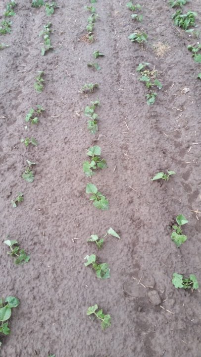 AP1GczM4-wYMHBFahqfQr-8t8CFqoKPi53zlfDDF