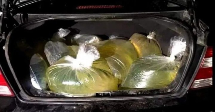 Może być zdjęciem przedstawiającym jedzenie