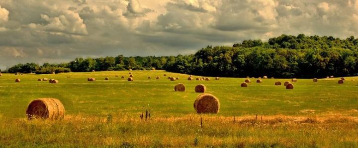 Jak obliczyć dochód z hektara przeliczeniowego na osobę? Jak wylicza GUS? [dane 2019]