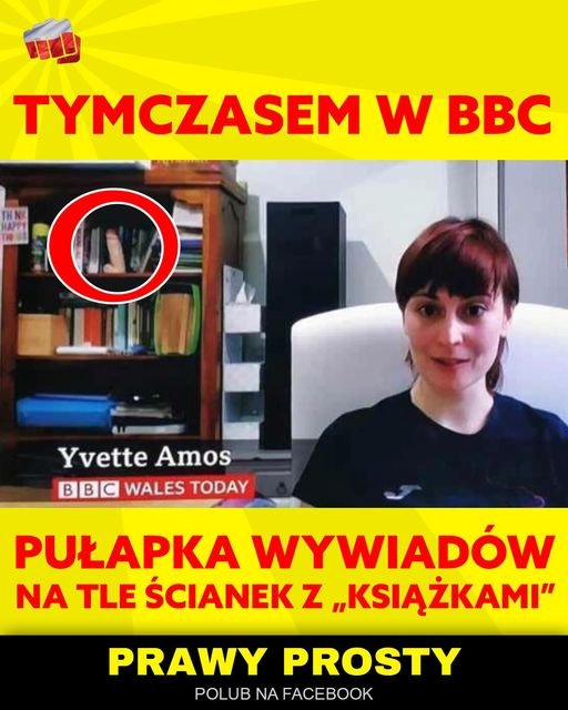 143094672_131460432134990_27144830406464