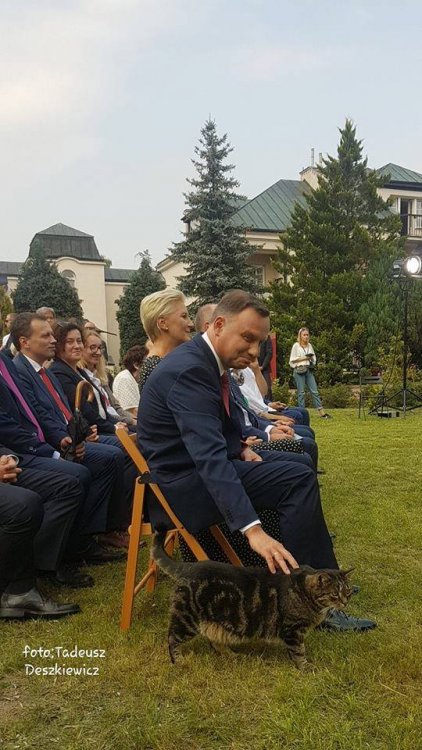 41462122_729173780763700_143534161034582