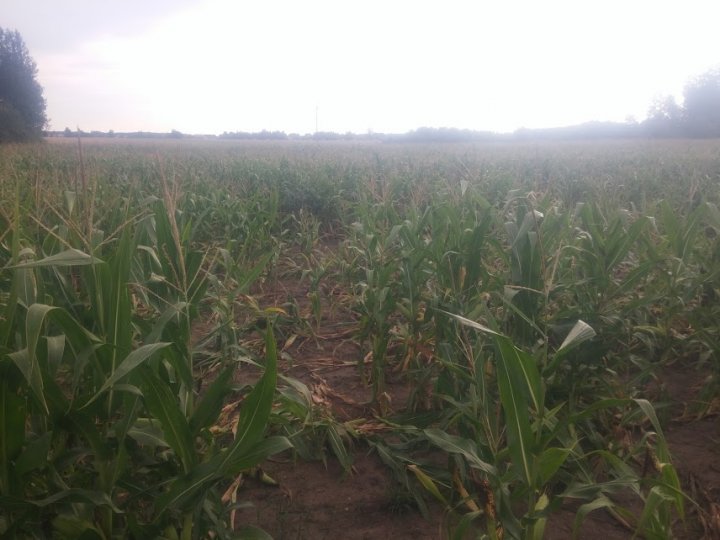 9O_u-PA1lEiI9qLqJqVOGzdGv4uWPj0yjZRl-vKI