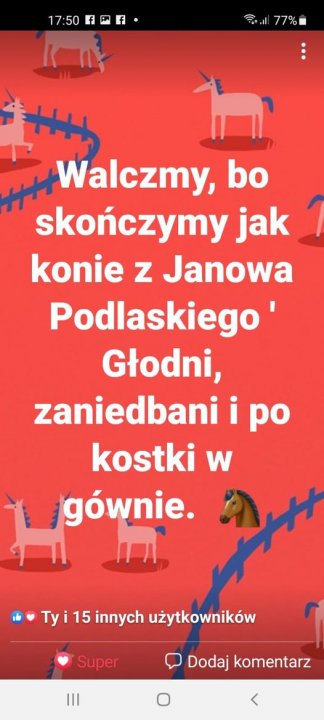 272926436_1493533014364478_5639513001551