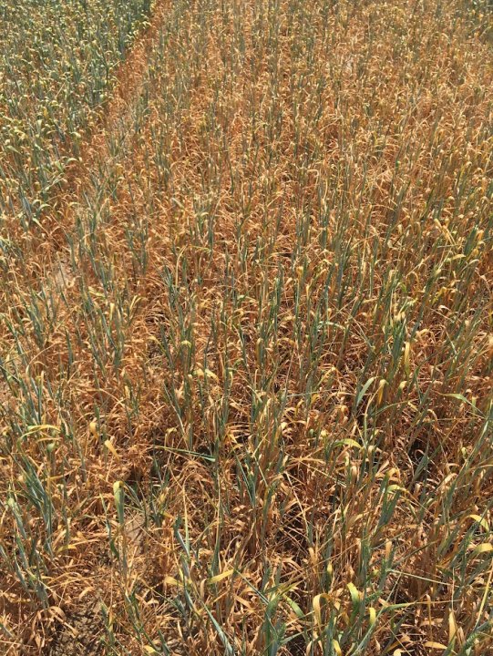 OMsMgO-b3RtxfHb9g90JztTRHVy-H39anG41-OxRkhwHQIazWQkebtU1W0F9ZdW7QqCAjhuU_f8Op0uyc03pAo8jpYKPEwwa1NSfsfccQxn81g6H68tk5ESPdAyLYsiYC1kF1Zjikoqc31If1k2clB2QnVU_e1CTbT2B2iOh1lFm0eBte-CX6o56Aw0NU2YneSGgaIe_gG5SnXJW9upnrFldLK2iGgOtQmRhqgy8ZEAU8CyQAP-dKZsKbCwyLy2VoplxJed86VvZrvV6eSU3_HTUNehGZ5lLuX-pnJkv3a_odMYQh9iAS6Dsh2a2r434m0FRQL6vxOq9ZN34ACCYe0U3Meqaa7oMqLxm8vKYEKXsjReqdRMY0Doa-3AINvVcq5rgV_tddhDicb9SAQ7LLok9Fr7jh2B34DA12EwiDZF0xDy0FsNIemqsySGwO8EyBCtUSNpqEDOL5FKcGG5mSLQiDM4viRnovduaCIT96xSOvYdK3jmOgTuqkKJNoo_SfZPGUeQOEbFLewH08bo7v0WyTtTzKjsRSsoJO0gIJ4RjyI4PtmOxaMREjF18hNcF26IhFYUxsXdlGDgzUdKCGByqBe207zCZAGReLtIpsrKdsT1uCh8r1kuKUL6-csJRgzdL9iCL8vjMp2cA2_WXC3zyfZeZp0aBXp-zTfIt-4gMWNBWp-PJwrP_vLQYePhykv0MlrZvKMGiqs7sopuGqSpziI7GGwm0ELc3ybwxlgYauBepv3XPE0KKBrcJaiOUyPNx-0_J-DFELmv2naD5gLFFGgJDZQJC7abbb8Wk-0Kgoi7CAo2unaQfN3-uPmOEoRRUwLRgne69IkIofV-VoghjnFd77725SCng6fiLhOiOpD2BpSdhjRELVWIR1YerUccdiO9g4fEarfQls7e_ieKH32wlNjVYU-wFp8p38eQKmPKB=w703-h937-s-no?authuser=0