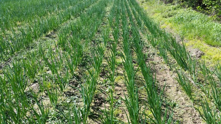 AJFCJaUtBJ7dWIXoM0RMMwoy3-IhFlx8XsDdpFC4