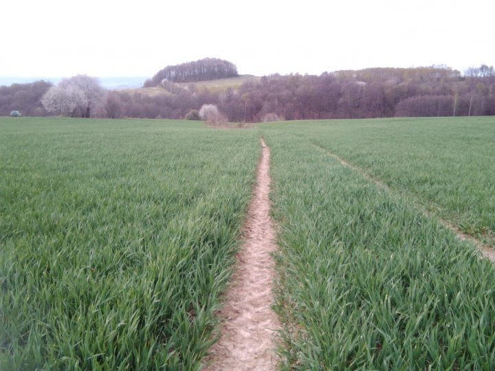 zltVVuomxPkavQbFQlCgGRTjfIm7u2TBxMW5JcMYLa3durqTZt0_ktNkSgWlLDSYkQfXU4vNJ5SKsyzdiaek9jcXIF4P176t1OZXv2A7sCIz4aOi-geSRhCSQYLEUr6OnLKxsC5mvM6tOBd8hrfh8-xsD3bXcouq8m38zUEdNsPkknxlKsTOJnz0ywBpxVgmePzNhBmL9lPaAta1Bmmkh3DP1MU0fU9kpjHUzcsu2e91ter3kCY6DHorFHPnjBkPEuKT0ONbTPgi_EoF4VkK4FkhbnrNoTVwBwWm0a9-oqY-Poy7gEl5kJG8iP1yq-wv-rXEbcnFiiTM19n-ZeNdvEszn5GNlSE_DTSmEnzaBfp-yJc_cPHeLeI_DKRvGdgj8P2vHmtbX6i4MyeM1awIp75nW90KrvNpM3JpaDSat4q8RK_IsdpIdFdPsMNajfO-FTaTX6N4dpRR-unkXpnWHGpIZDBLq9EmlYjgPqlu3wB-8CPfE_FRrmnl2mOyVPRnfzGV7DBTYi0GyQOVOce9s6yLwUBL4GsjQk8M70VDOijF850nm-bQv80-PBxS_kWwuVn0EdZIv8lQUS0_kNulW7GcFdMWQ2s18e7TlivXkcOGfZD3d5WsMAbSjmoHuCscUfBpmFLs_DZWZv5UIZ-qbF-qngYg8f9h9lqgrib8d_2JvPzahnmbFW4XBmgG=w1343-h1008-no