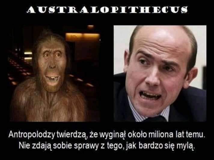 143048546_970746970401242_27903292415458