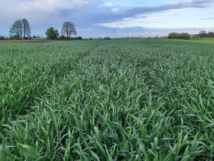 NrPYa6NnpKxAiMbCcSpyhkcMZaxKSvGnXV3jAWBZ