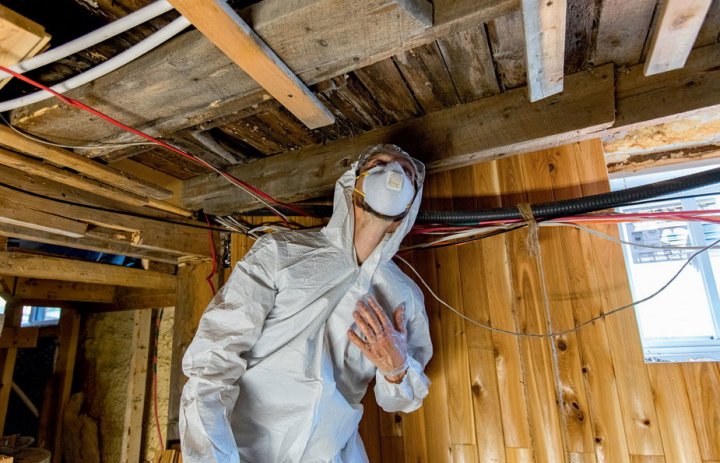 Kombinezon i maseczka chronią przed infekcją w trakcie odgrzybiania pomieszczeń.