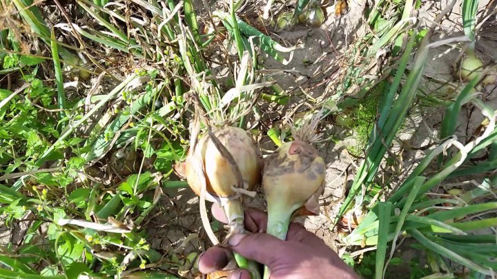 AP1GczOc-v0ZmTdRIMPDsI0yrL2CqUsxMw-zEFKF