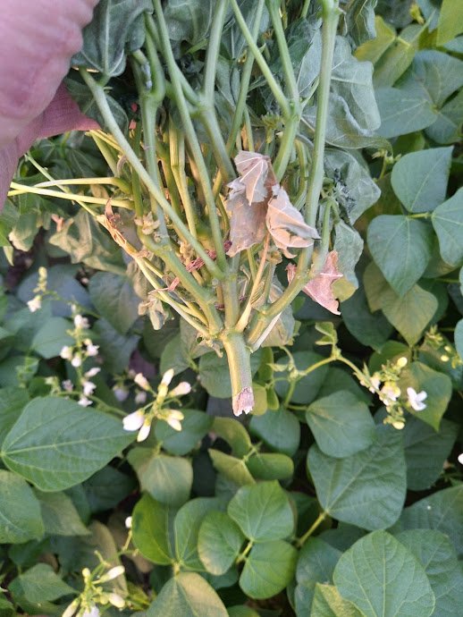 -MQYwSpbrOXLbPPbcEbYyub8JAmNIjupbrVo-3zcqGXbbHjB4tzDAFECadg4McdnBpw1mO_Z4SPb3z85jbfKRRpfamLIr0_J-pgKBmSzAguk7Dbys_jJnOL1Miatk92YKHLTdTEmSCt-neipCJL2bZMEYmuEZDQ3r24SKkkWiocj9CZiAFFmSEEeTq9YXK_9UU6U6bjxYyHcaab3eUnpA7bS_NzHXzGlAn5bAc8SWrO8bVFdXObKZjQwckciRrX3uDZcP9H81hO6auL3cZ6hg6CNjM0VX1igtzYXaGPFMiiHvtdQ12JdwoDKFGZKb-WCsrnT2gloiFAdpV36lUUekeOhj-Edu1txI-lqycngSNl7vQOdyqmYgUnp0xaraYNIwx2h7ztEKK0USnWVOGZj2SeDNe9HVp3OoR-Z8i2T_AlirDoUcJeoSulUyxvjCrN0Bz4D8Gsbt0NJio9gtidKfLComZe0Ww6i49dYNZXpt8sULWkrBxVt8Gbx9S_SvN-9fv0eC5pjxZqnvzvpXrLTr3StiH_G_nuTs9LeYsnOlIaUW2u3juiyGzO29mI4rbL5iFT-_sJf8TKyH17MSg8FMcxY-SefHfFTIf4bg18wEVL1EAWIKGSyhEg8k7x-8VaXVzmYlD6YSWOJROYcGIKH77Lidz1WoEiCW0EHl3rGWnzZjI5-FaubDg6J0NgqPgZr5GvdySiGDhzJryXPNKSFBgFR=w518-h690-no