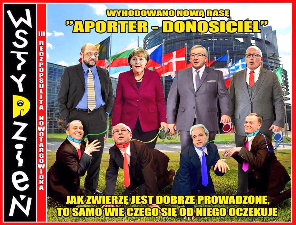 CgQC1E6VIAAPqsD.jpg:large