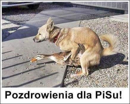 95828429_308949440096411_770721650655100