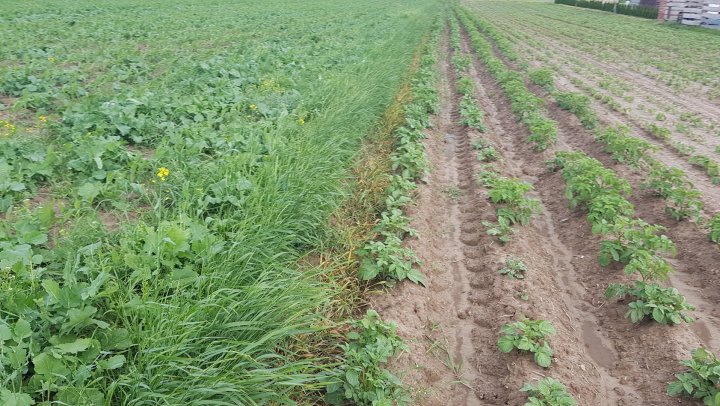 AJFCJaV6tDz8GZCcjWlpUdRdlZCRDYOJXQVUBDeK