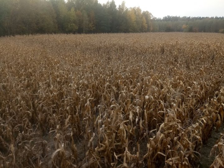 nym5BVyhZJ2OBDyZGZvsnL4SFHIMElkFj75-24QY