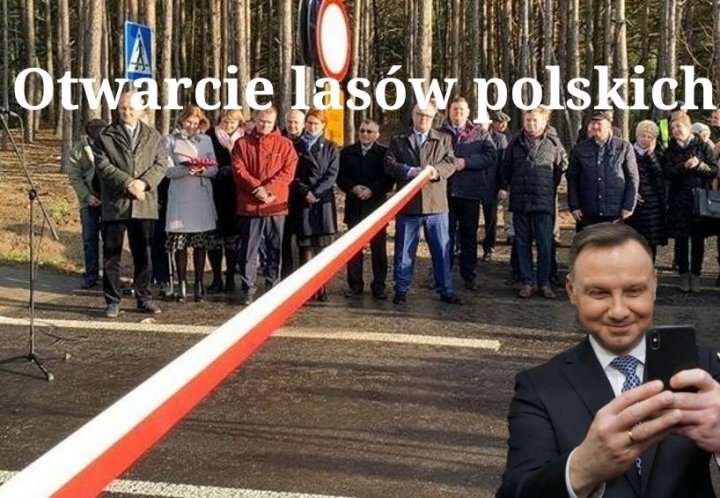 EV_TjkvWoAALq0S?format=jpg&name=900x900