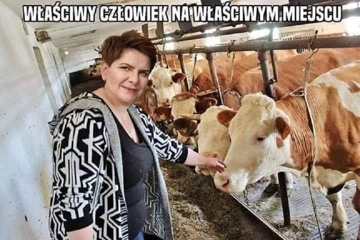 Może być zdjęciem przedstawiającym 1 osoba, zwierzę i tekst „WŁAŚCIWY CZŁOWIEK NAWŁAŚCIWYM.MIEJSCU”