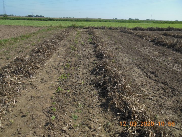 ACtC-3f0w_vQehUe_2EMGMNkhW-ymDrIXQjkAI-d