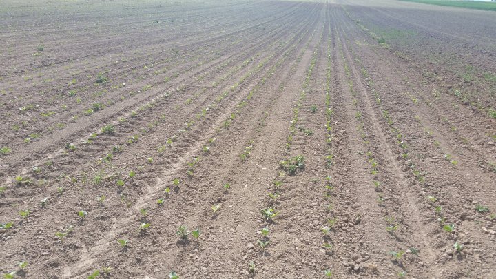 AP1GczNaK2lowkBlwcWSF_o17_4y-Hy-_gjmeI8g