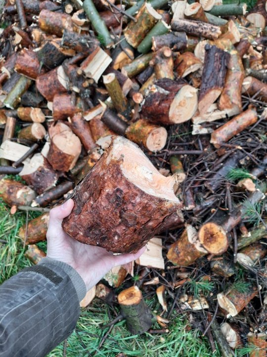 BYlm8o-HGafyC-wTuYMb_8NWsnphrWsbd22eF2_8knzocwvXqCf7Akt8P6NMgweLIhvvV1BqFv9RaZNdmpJNUCAt6gmJQk56ayBt1MydVBetbU3x_a-B3ZBhS5eKPUEj3K4JWg0Ig4d1BABPCNTeiIB0H8Qrb9n_D0sWNEnfUS_t3RowanHYzlZPnojEfbXiZmjvdVjoL6Q2GNQAWe15d_2Xm0aM-oKSZu6kcw2MqEnG732r8PzAFr6QOdhbEFaJZFxg9nIxrui2o0XUGtVOwjDKxm257t6D31RetTxT0mbsfzJHhBgN63lwFXkjjRqFcAiebloGqmYJeRo_hMkNeJjFIJTO_SCGHEPrz-gmIL55Mmbu-Ip0TNZ6b5t8HxidsTthc_Ewvbgn24lZZkimxgYU7gzeJiQIoY9GcQDLA3sHnba9Hll9fUwPvXfctvBzTYQ9AR2ZQ2IKFSkVoBtXKP52wtfs1YK2b_1qnzbpT-ZZDuCfAtxXvquXeJqync9R0mj3ZIL4Je5VBOFaYDREh1UisHnCyajgA7kSHBTascopm761RxqyDTGpcSVC5jwKxGvVCrd66ExTBsKjPt4bRk-6wV6jjiKSdyW-mewmQxXV1SwsNt79al0czNF-7DdOQXFNJp4kHbHQ7Y-KJs_qZtTyA1kH03B4zUYZc0-TrEFd0KmEx3grjGKjFm1pbodbqME0vbxq29rWZ4FrkFWngxOj_A=w708-h943-no?authuser=0