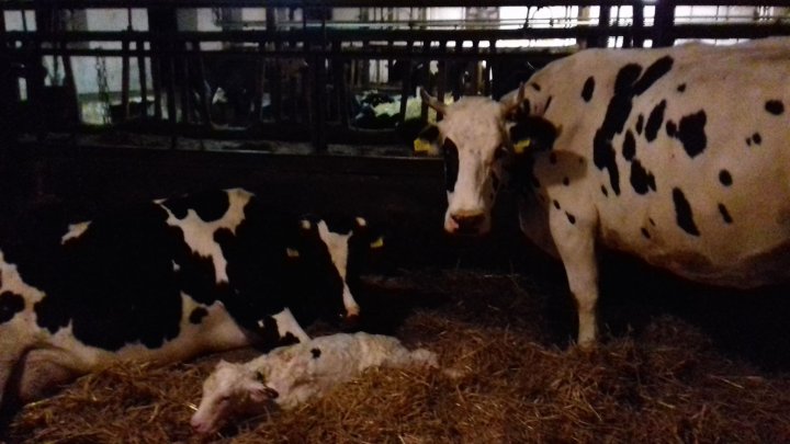 72843348_753402541765507_7597087063975919616_n.jpg?_nc_cat=106&_nc_oc=AQnDvYrvrc5wol21IFh6uR2g8WmJsOhg82bN5c98GSIFMXRiLkiAemIslCdiPNTLa10&_nc_ht=scontent-waw1-1.xx&oh=4faec434ea380729bfefba5cbd78816f&oe=5E5EAA81